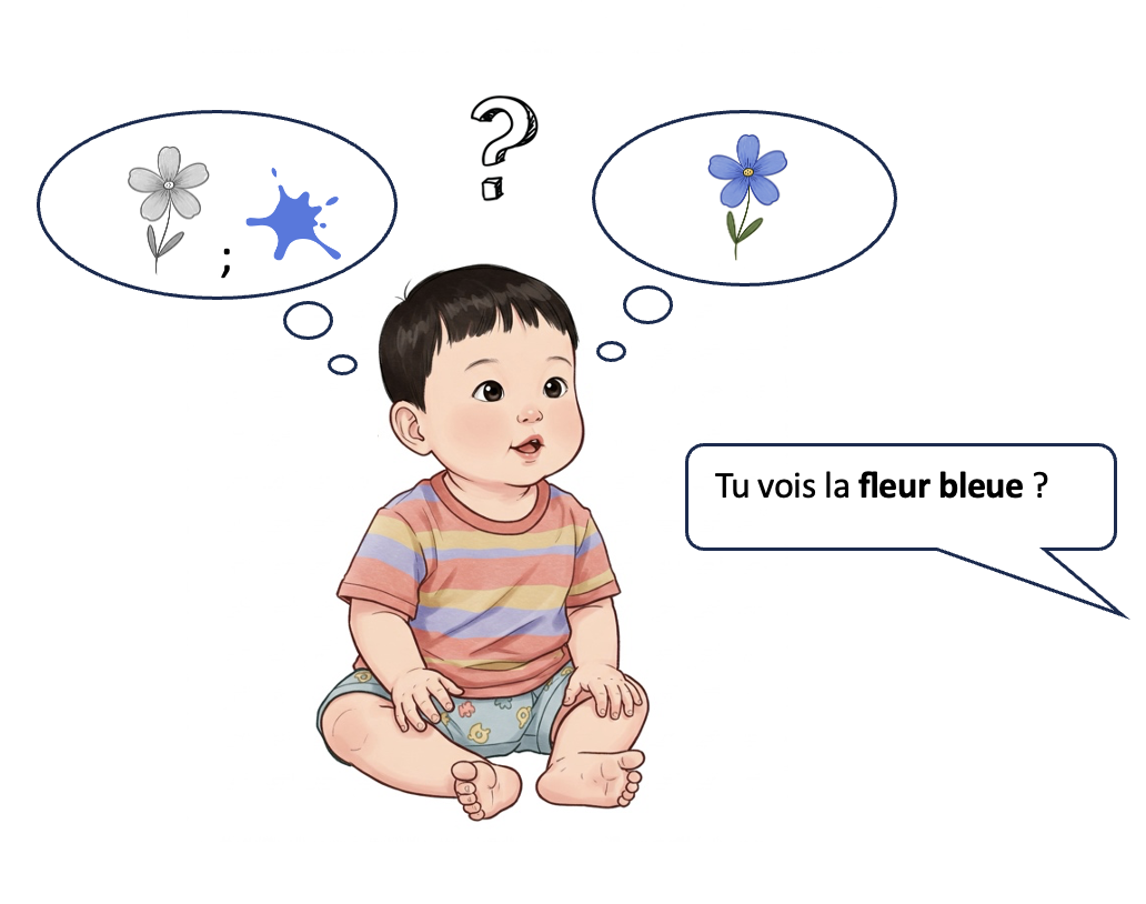 Les enfants de 14 – 16 mois arrivent-ils à comprendre de petites phrases ?